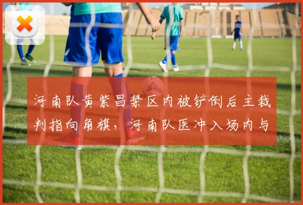 河南队黄紫昌禁区内被铲倒后主裁判指向角旗,河南队医冲入场内与边裁理论被罚黄牌